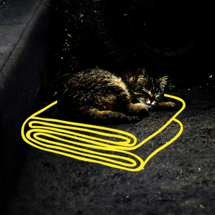Katze unter Autoreifen liegend auf Grafik einer Decke